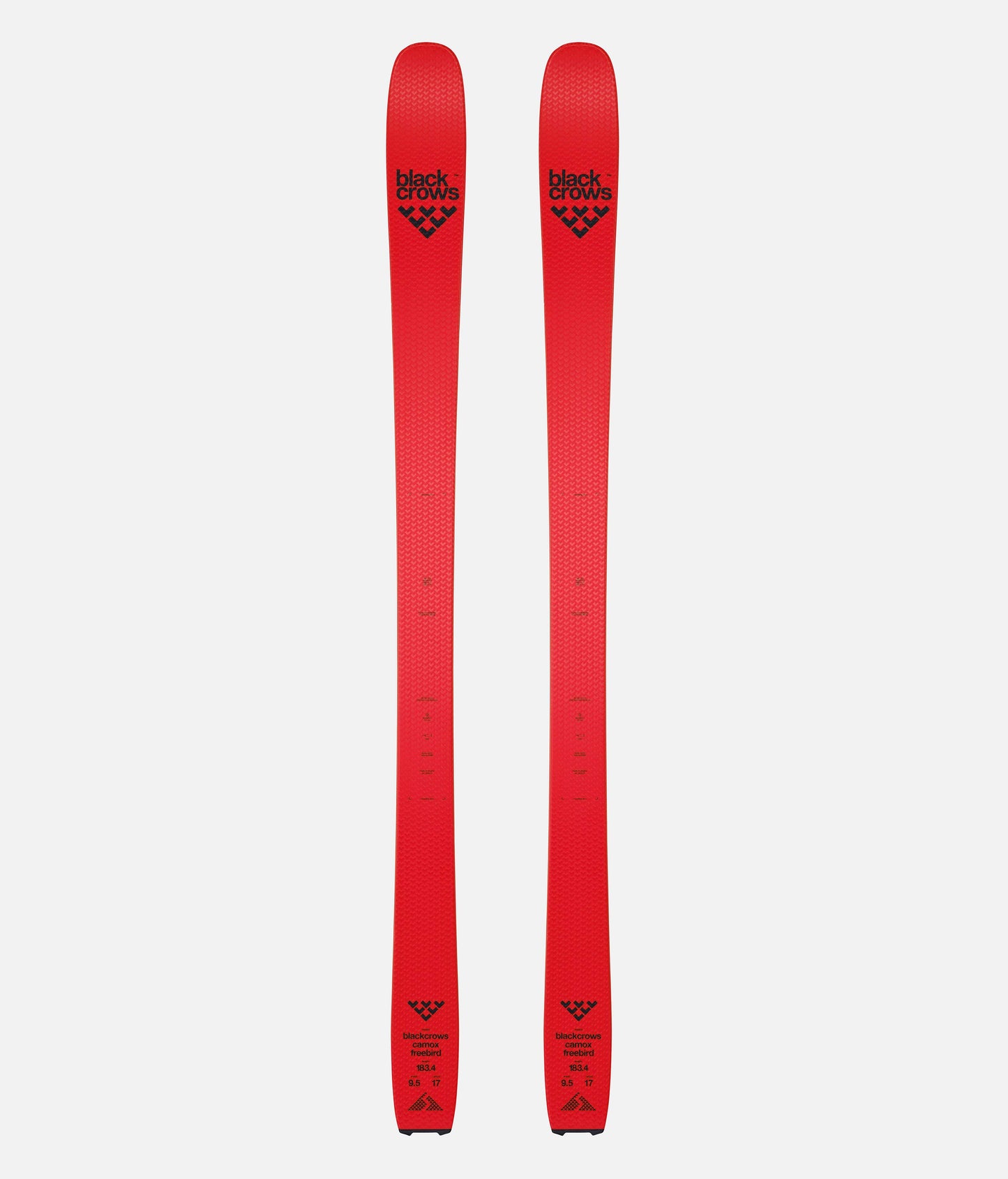 2025.26 Camox Freebird Ski+Skins Set