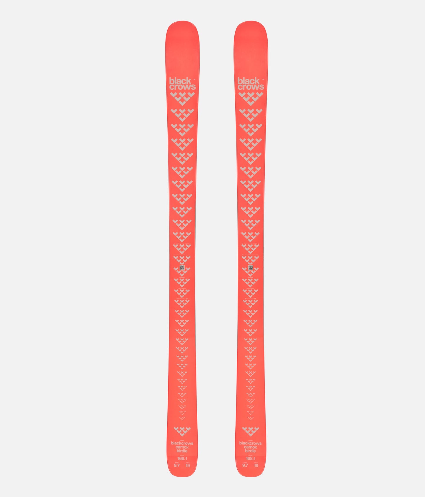 Camox Birdie Ski 2024.25