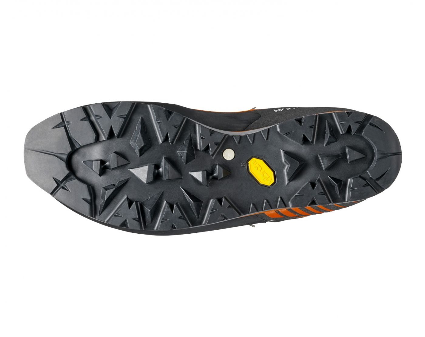 Mont Blanc Pro GTX
