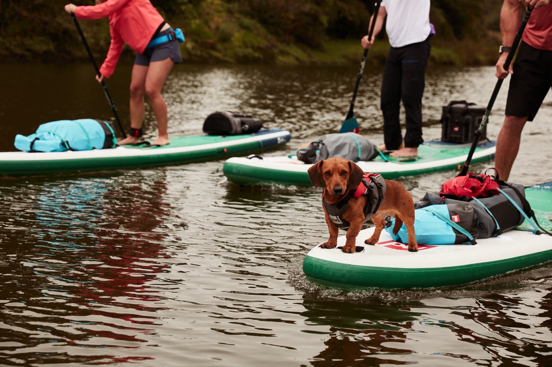 Red Paddleboards