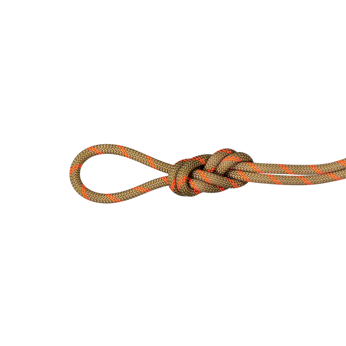 8.0 Alpine Dry Rope 30m