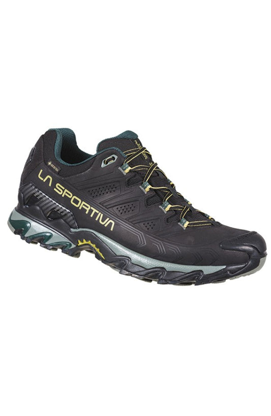 Ultra Raptor II Leather Wide GTX