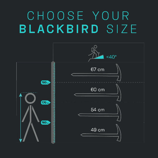 Size chart for Blackbird products with height measurements on a dark background