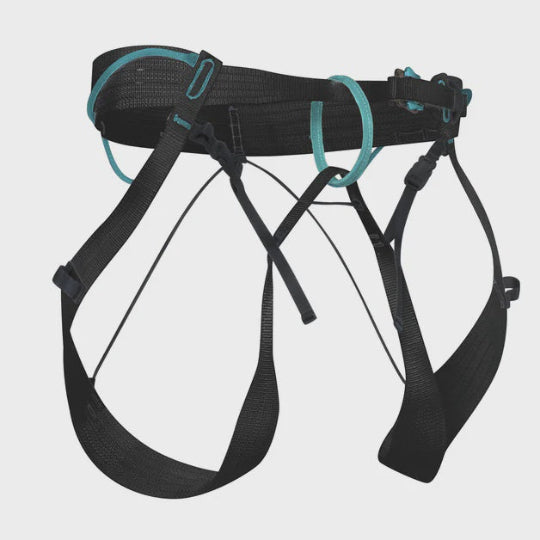 Black climbing harness with teal accents on a white background