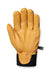 DB Glove