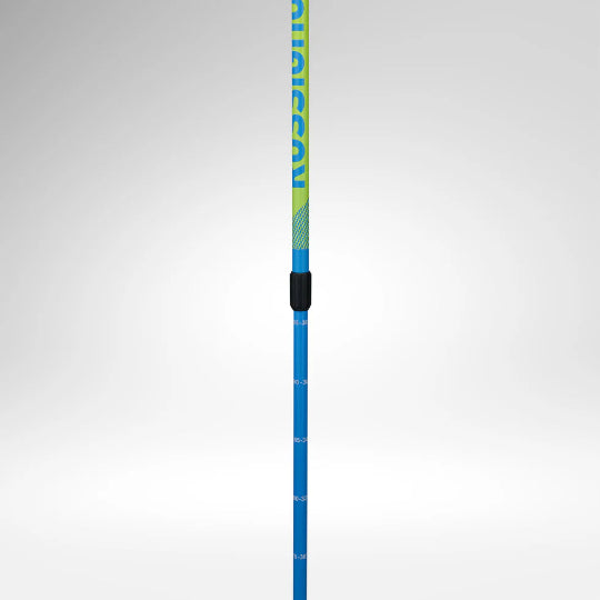 Blue and green ski pole on a light gray background
