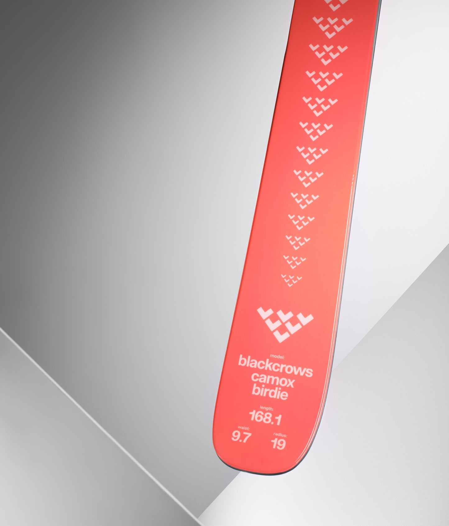 Camox Birdie Ski 2024.25