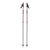 Traverse Ski Pole