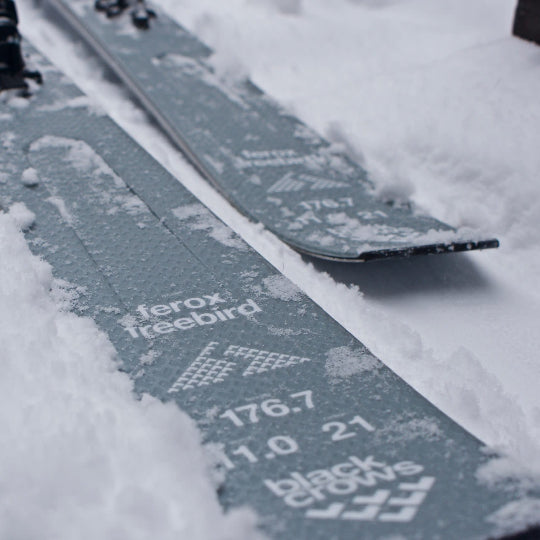 Two skis with 'ferox freebird' branding lying on snow
